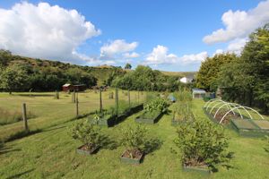 Photo 21- click for photo gallery